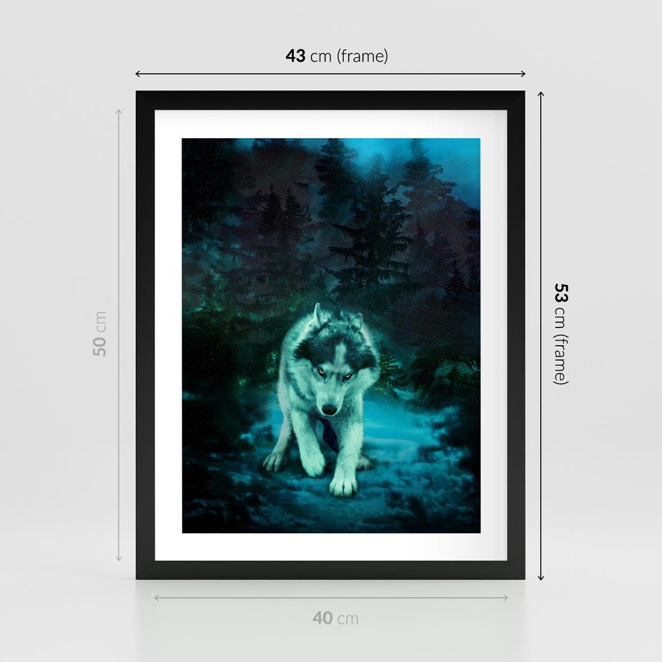 Plakat w ramie 40x50 - Siła i wdzięk natury - wilk, husky - rama czarna