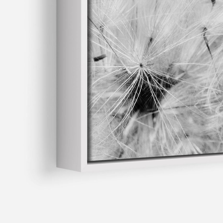 Obraz w ramie 70x50 - Zdmuchnięty Puch - dmuchawce, delikatne - rama biała