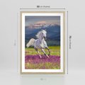 Plakat w ramie 50x70 - Koń Góry: Spotkanie z Wielką Przyrodą - koń, góry - rama drewno