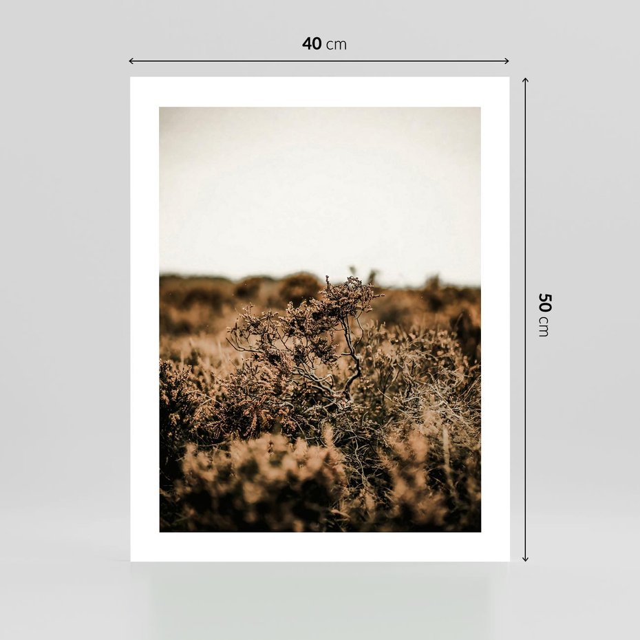 Plakat bez ramy 40x50 - Krajobraz W Naturze: Beże i Brązy - suche krzewy, natura