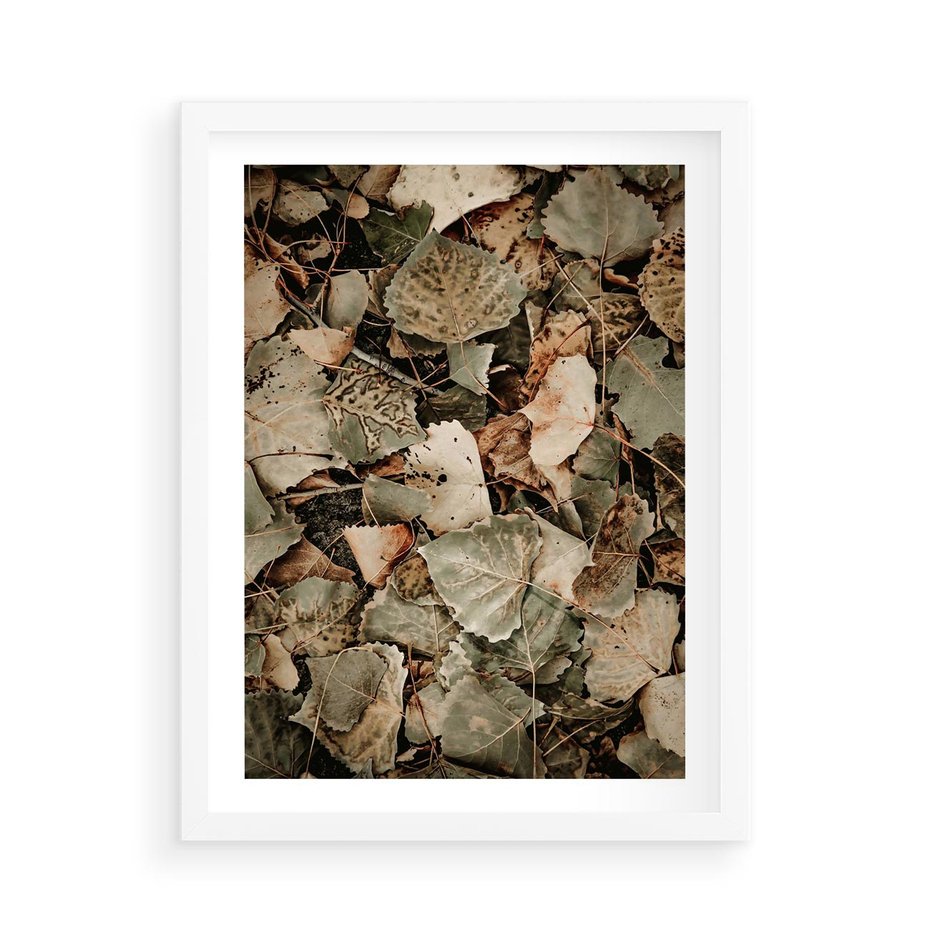Plakat w ramie 50x70 - Magia Jesiennych Liści - liście, suche liście - rama biała