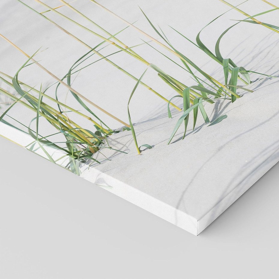 Obraz na płótnie 70x100 - Przytulna Śródziemnomorska Trawa - plaża, trawy