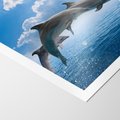 Plakat bez ramy 50x70 - Spotkanie z naturą - morze, delfiny