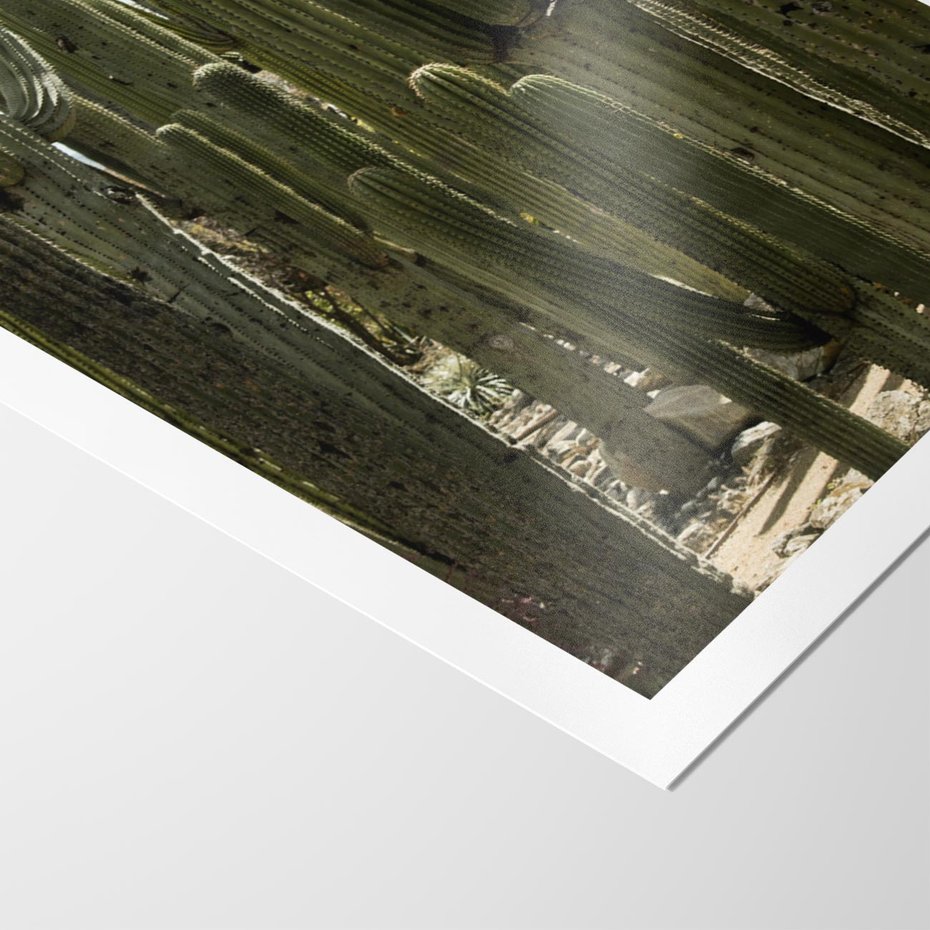 Plakat bez ramy 50x70 - Wyjątkowy Klimat Boho - kaktusy, pustynia