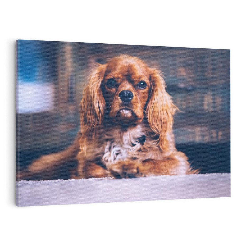 Obraz na płótnie 120x80 - Spacer z pieskiem - pies, piesek