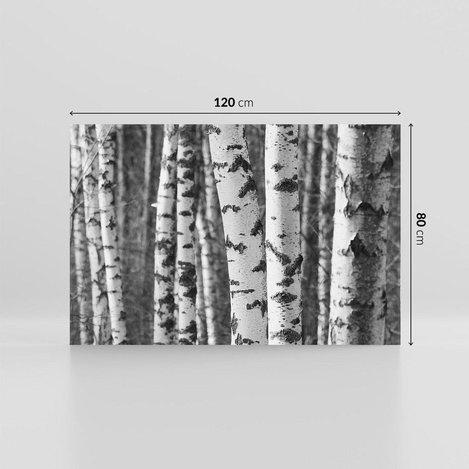 Obraz na płótnie 120x80 - Kontrast Monochromatyczny - brzozy, czarno