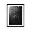 Plakat w ramie 30x40 - Jeleń wśród lasu - jeleń, las - rama czarna