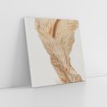 Obraz na płótnie 60x60 - Suszone piękno - susz, suche