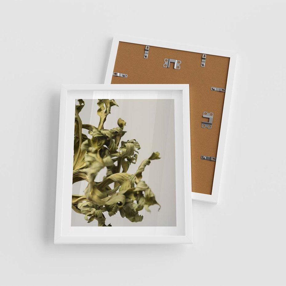 Plakat w ramie 40x50 - Odejście pory deszczowej - suche, trawy - rama biała