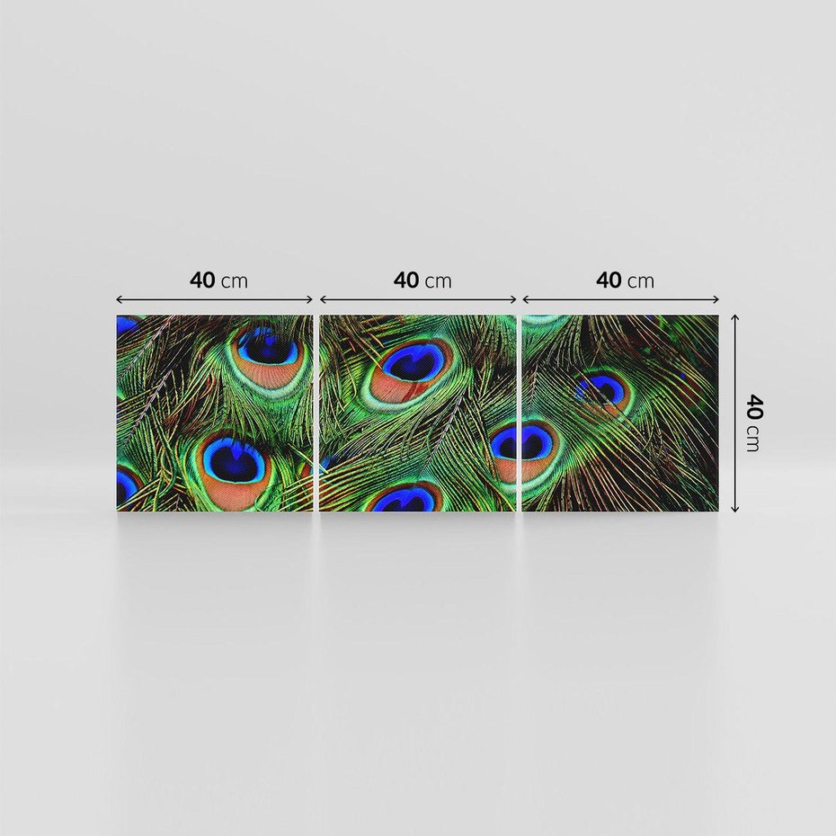 Obraz na płótnie 120x40 - Pawi Ogon - Piękno i Wspaniałość - paw, pióra