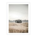 Plakat bez ramy 40x50 - Wiejska Idylla - stary drewniany dom w polu suchej trawy, fotografia