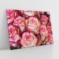 Obraz na płótnie 120x80 - Różany urok - kwiaty, róże