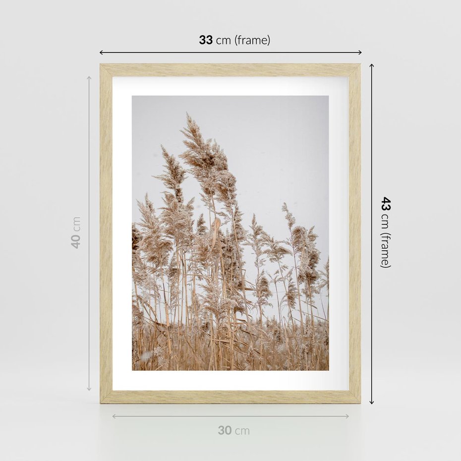 Plakat w ramie 30x40 - Boho Urok - trawy, pampas - rama drewno