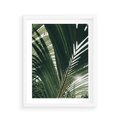 Plakat w ramie 40x50 - Tropikalne Uroki: Palmy i Zielone Liście - palmy, zielone liście - rama biała