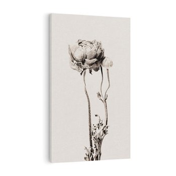 Obraz na płótnie 80x120 - Cień Kwiatowej Delikatności - kwiat, cień