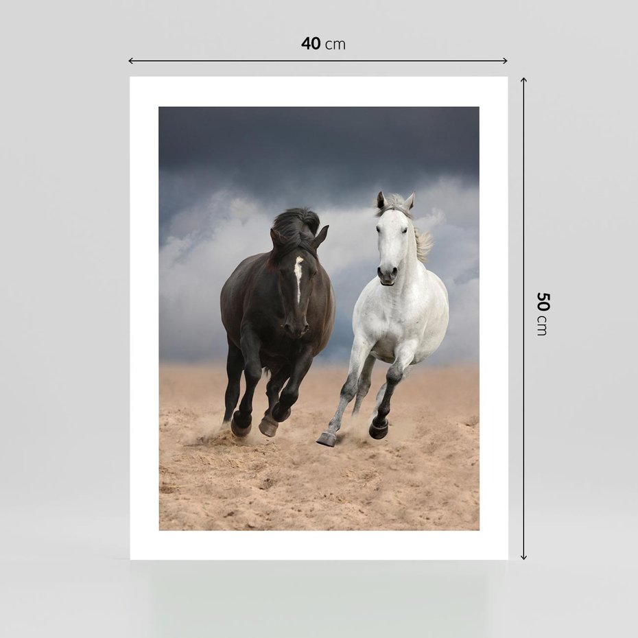 Plakat bez ramy 40x50 - Siła koni w galopie - konie, galop