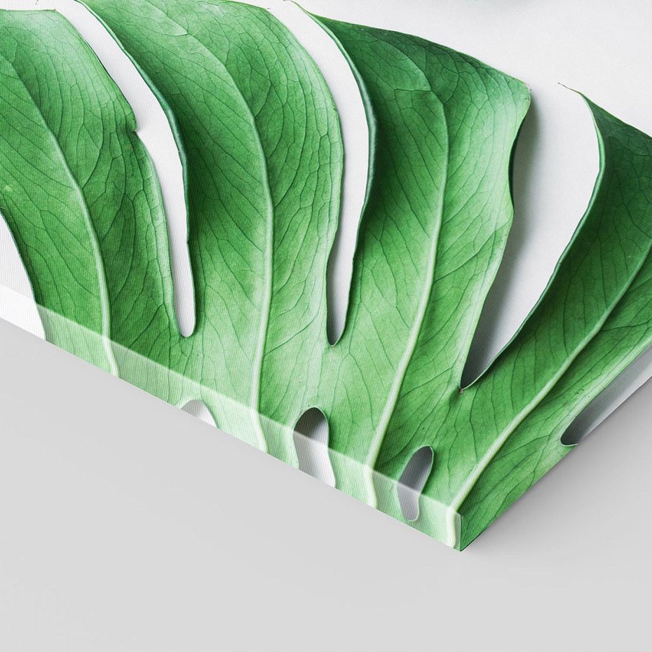 Obraz na płótnie 40x40 - Monstera - Liście Kwiaty - monstera, liście