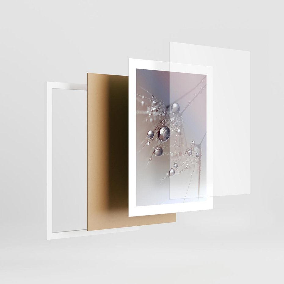 Plakat w ramie 30x40 - Delikatne Natchnienie - krople, dmuchawce - rama biała