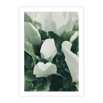 Plakat bez ramy 50x70 - Zgaszona Uroda Natury - zielone liście, zgaszona zieleń