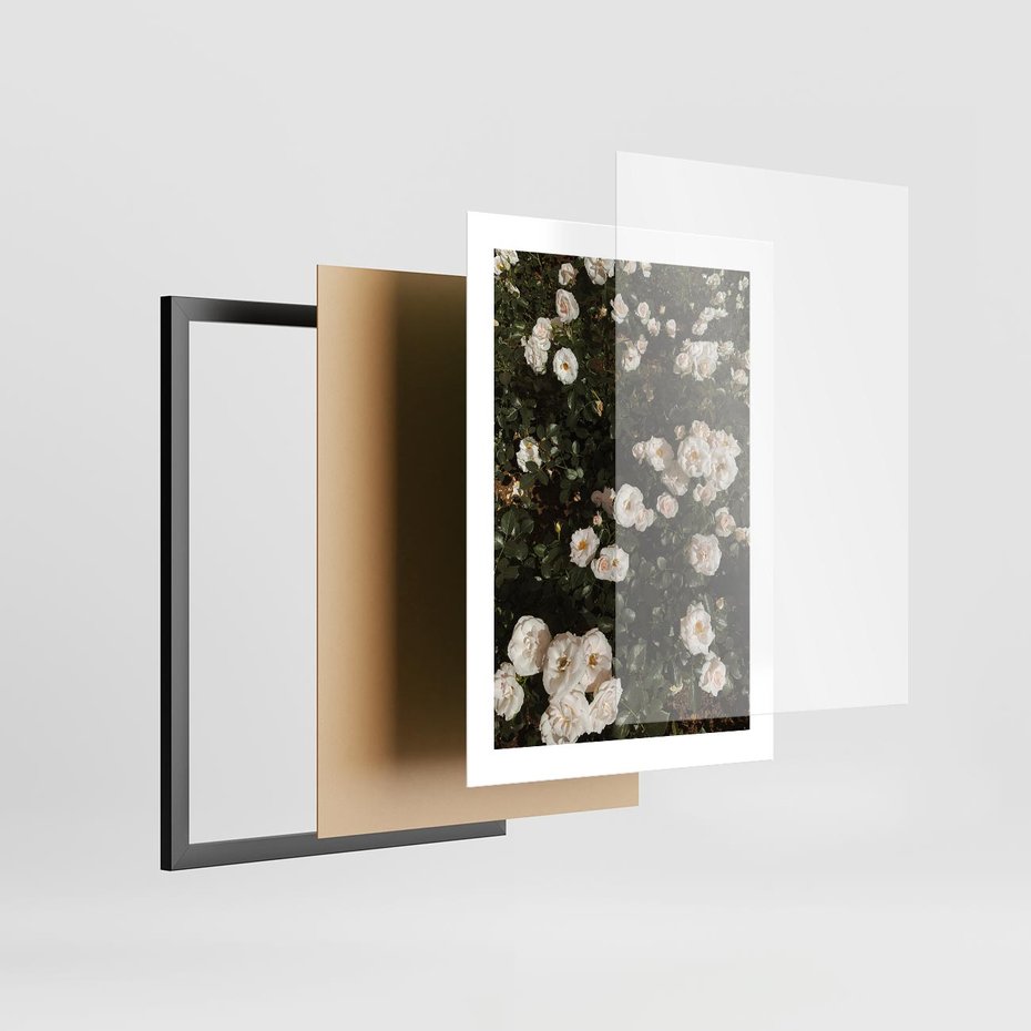 Plakat w ramie 30x40 - Czyste Piękno - białe kwiaty, białe róże - rama czarna