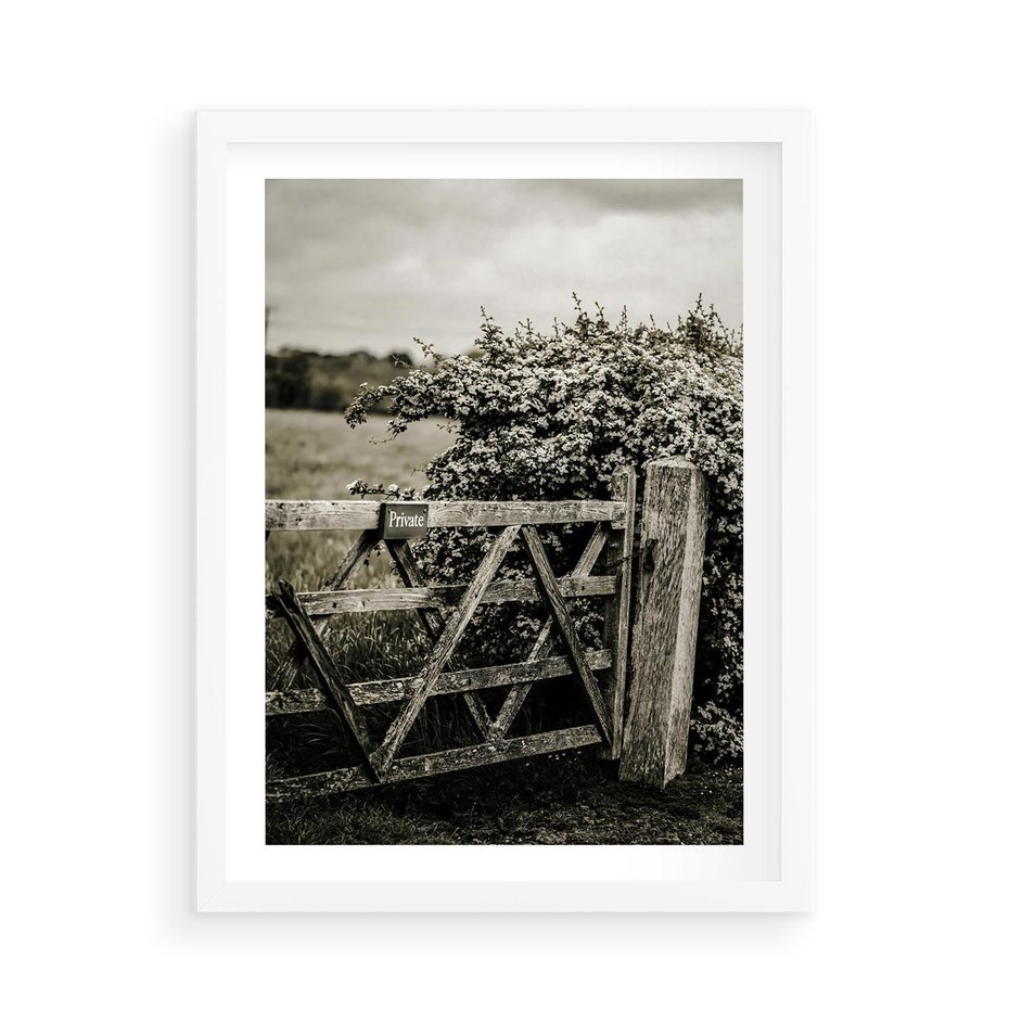 Plakat w ramie 50x70 - Wiejski Urok: Stary Płot i Kwitnący Krzew - rustykalne zdjęcie, stary płot - rama biała
