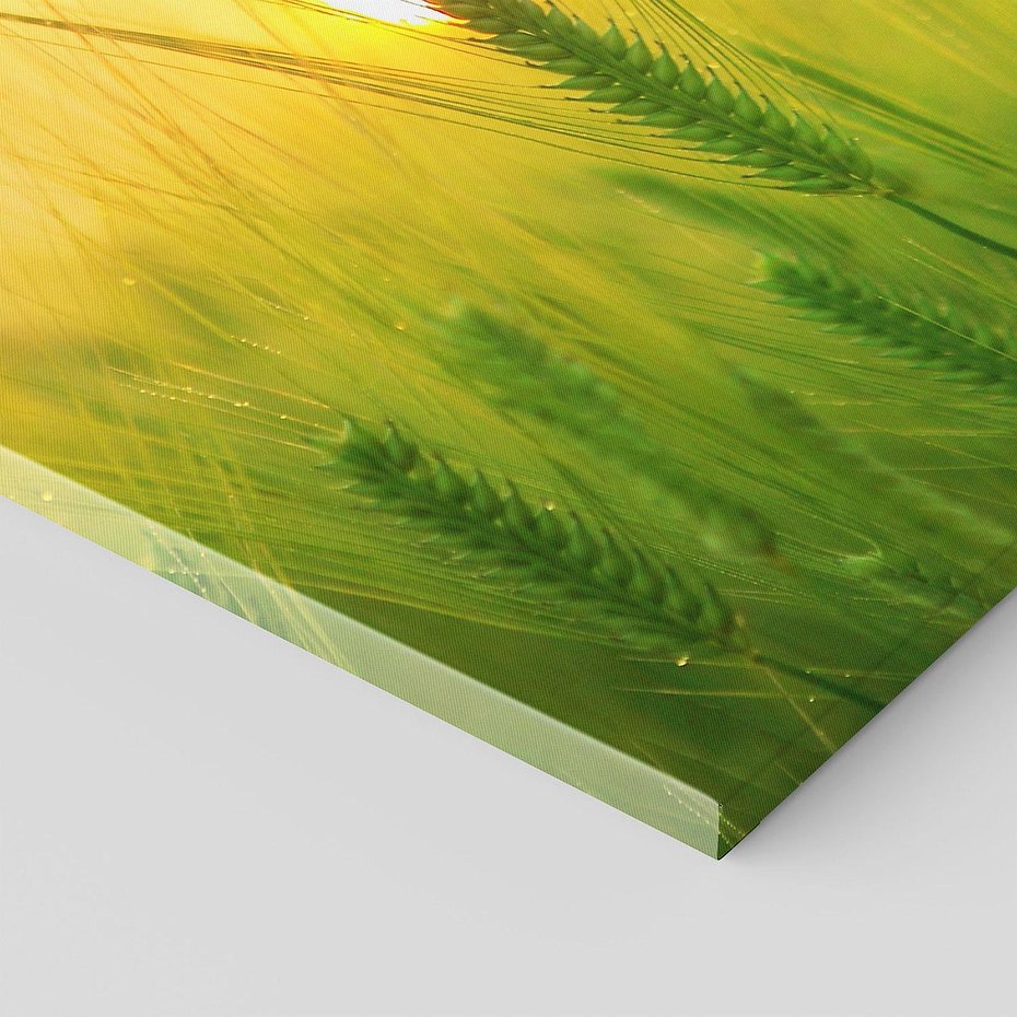 Obraz na płótnie 120x60 - Zboże w kłosach: Oda do plonów natury - zboże, kłos