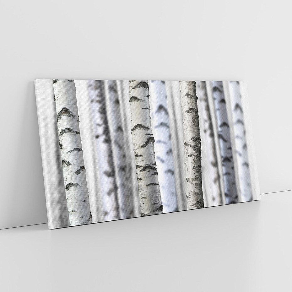 Obraz na płótnie 120x60 - Delikatność brzóz - brzozy, las