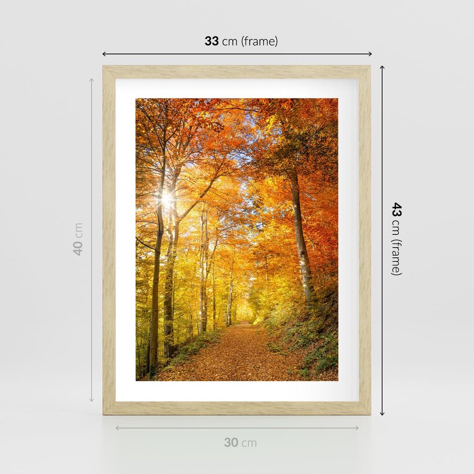 Plakat w ramie 30x40 - Złote barwy jesiennego lasu - las, jesień - rama drewno