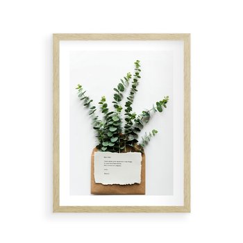 Plakat w ramie 30x40 - Eukaliptusowa harmonia - eukaliptus, liście - rama drewno