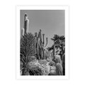 Plakat bez ramy 50x70 - Pustynny Klimat - czarno białe zdjecie, pustynia