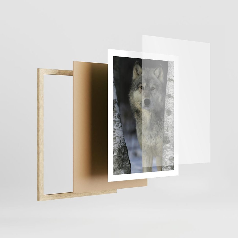 Plakat w ramie 50x70 - Wilk w Zimowym Lesie - wilk, las - rama drewno