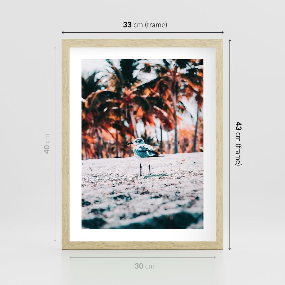 Plakat w ramie 30x40 - Tropikalna Uroda: Plaża z Mewą - tropikalna plaża, mewa na piasku - rama drewno