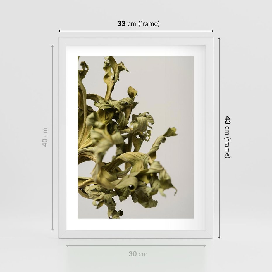 Plakat w ramie 30x40 - Odejście pory deszczowej - suche, trawy - rama biała