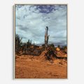 Obraz w ramie 70x100 - Skarby Pustynnego Kanionu - pustynia, kaktusy - rama drewno
