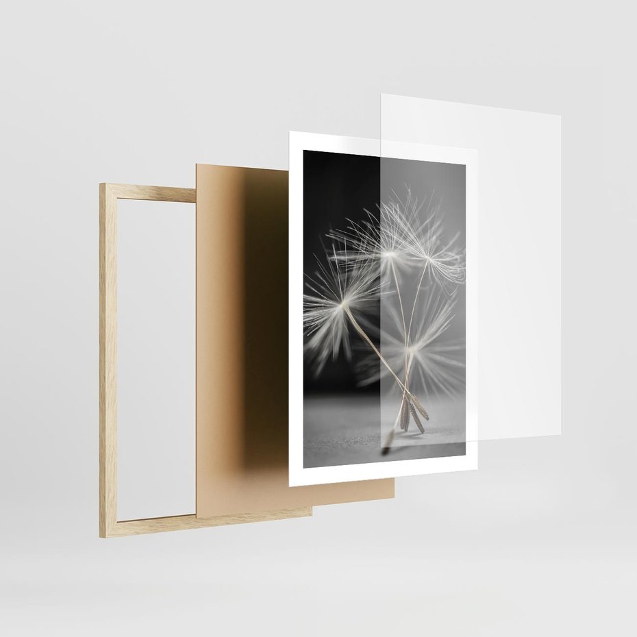 Plakat w ramie 50x70 - Delikatność dmuchawców zbliżenie - dmuchawce, zbliżenie - rama drewno