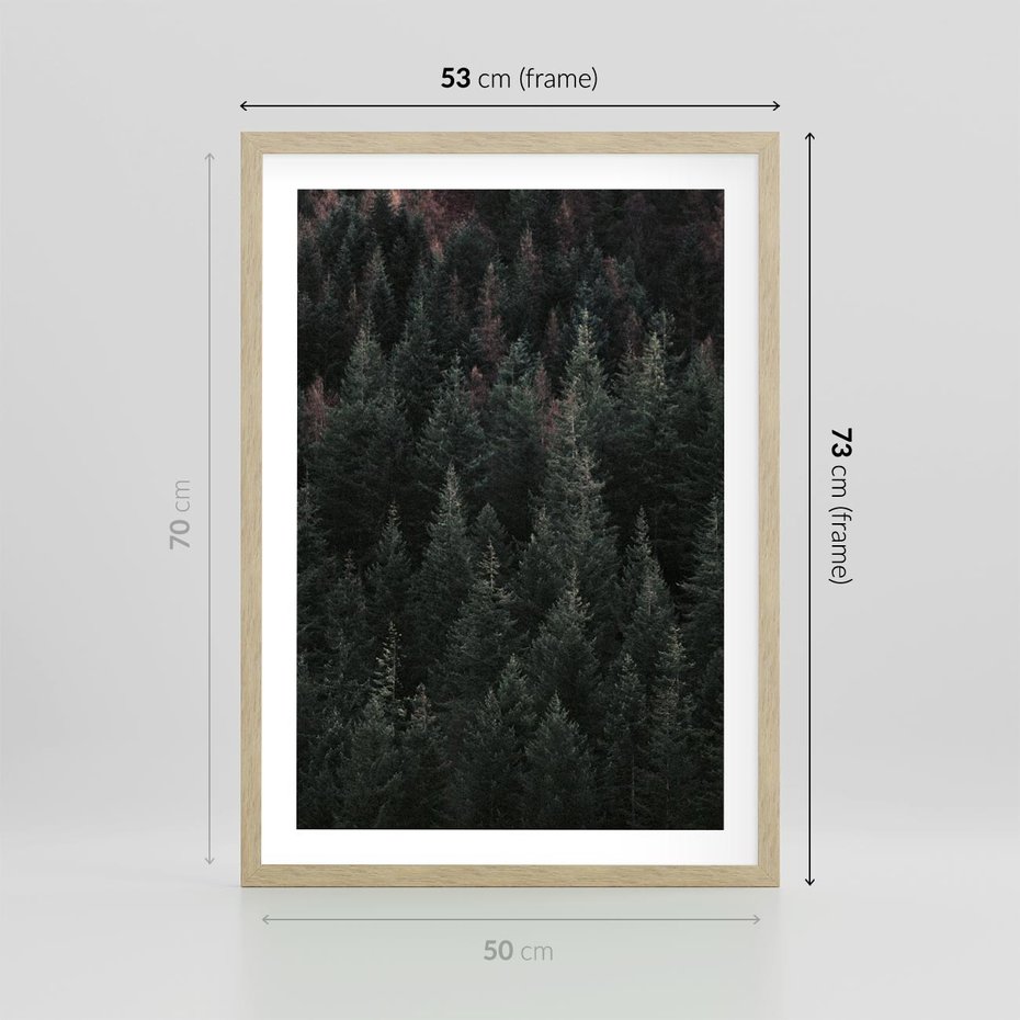 Plakat w ramie 50x70 - Wysoko nad Iglastym Lasem - las, perspektywa - rama drewno