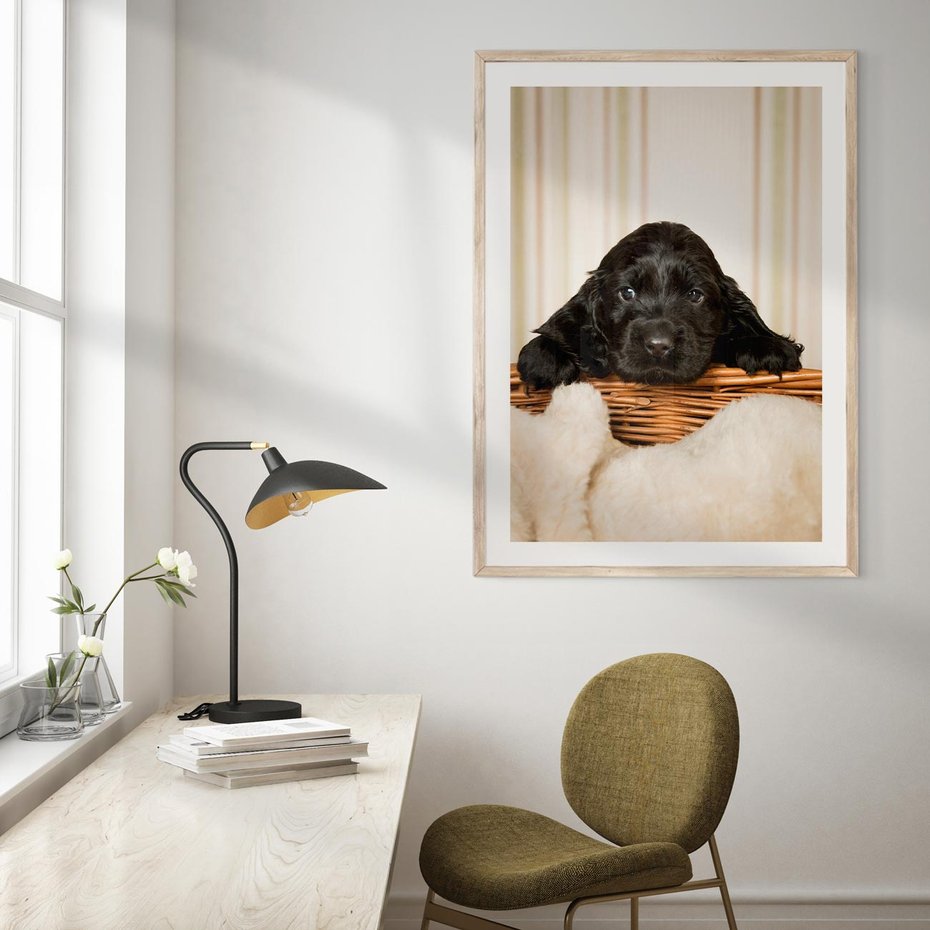 Plakat w ramie 40x50 - Uroczy szczeniak w akcji - piesek, szczeniak - rama drewno