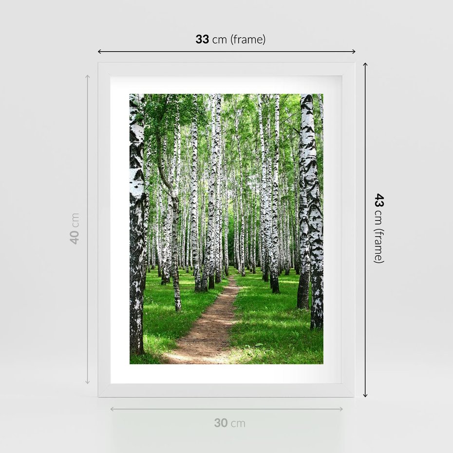 Plakat w ramie 30x40 - Bajkowy las pełen brzóz - las, brzozy - rama biała