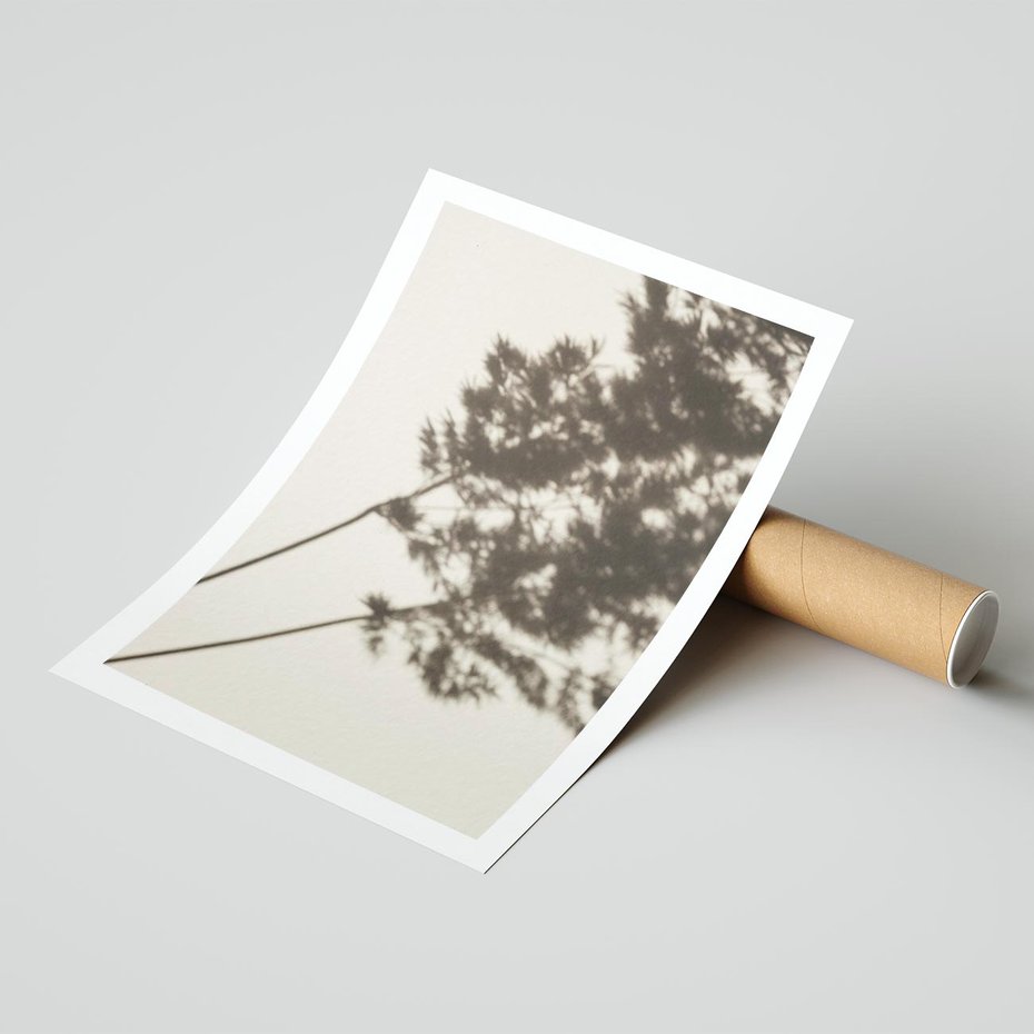 Plakat bez ramy 30x40 - Tajemniczy Cień Traw - cień traw, na ścianie