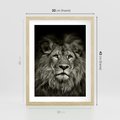 Plakat w ramie 30x40 - Moc lewego spojrzenia - lew, czarno - rama drewno