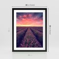 Plakat w ramie 40x50 - Różowe Niebo nad Polami - pola lawendy, zachód słońca - rama czarna