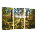 Obraz na płótnie 120x80 - Obfitość natury - las, drzewa