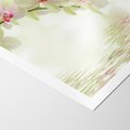Plakat bez ramy 21x30 - Orchidea w Spa - orchidea, kwiaty