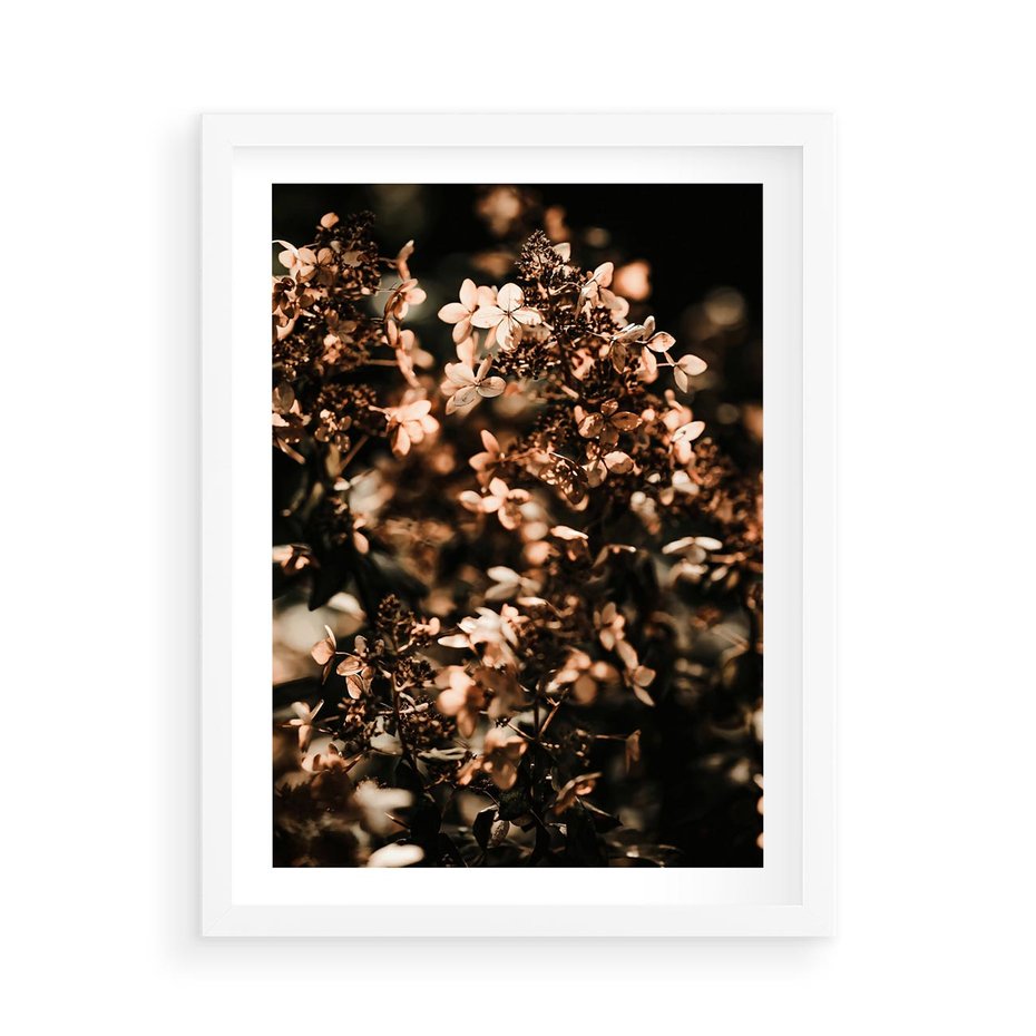 Plakat w ramie 50x70 - Sucha Kompozycja Kwiatów - suche kwiaty hortensji - rama biała