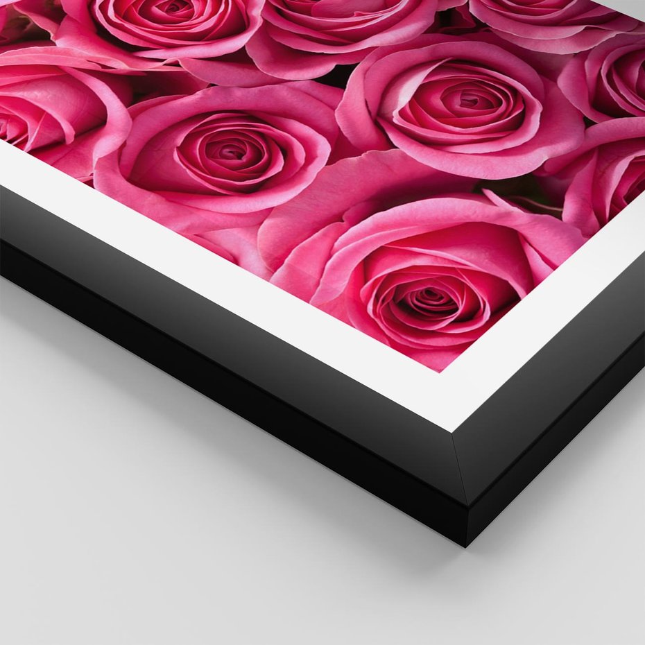 Plakat w ramie 40x50 - Romantyczne róże w pełnym rozkwicie - róże, kwiaty - rama czarna