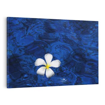 Obraz na płótnie 100x70 - Kwiaty wodne delikatność natury - kwiat, woda