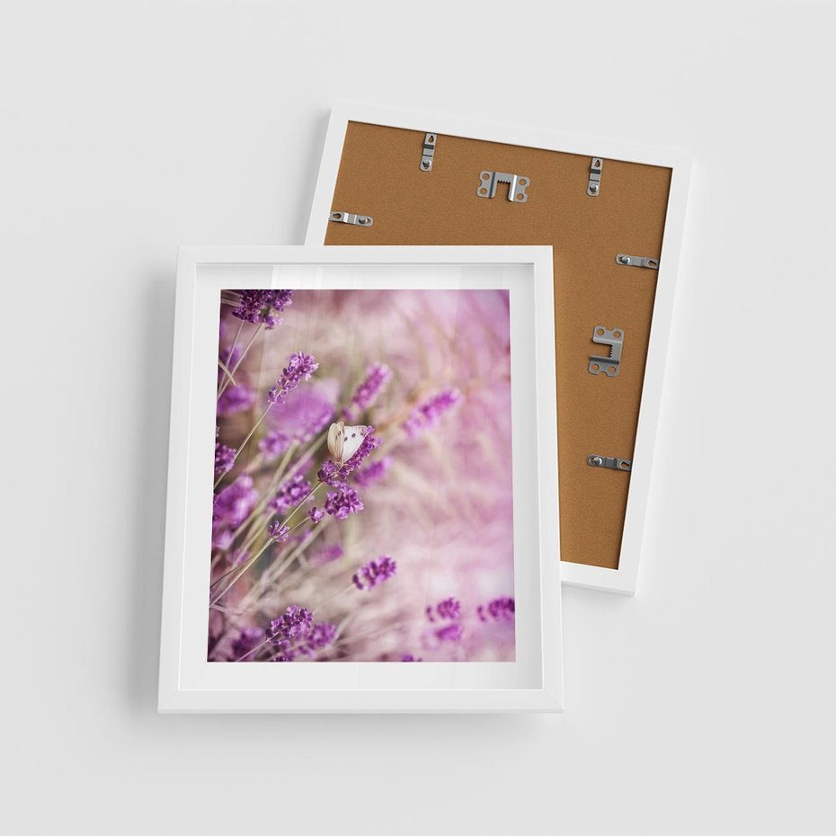 Plakat w ramie 40x50 - Majestat lawendy: fioletowe pola - lawenda, fiolet - rama biała