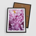 Plakat w ramie 50x70 - Fioletowy zawrót głowy - kwiat, różowy kwiat - rama czarna
