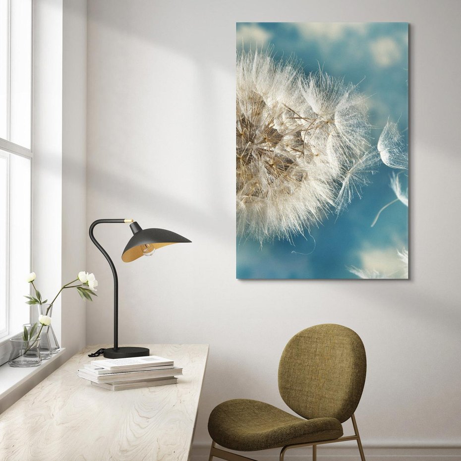 Obraz na płótnie 50x70 - Delikatność dmuchawców w pejzażu - dmuchawiec, kwiaty