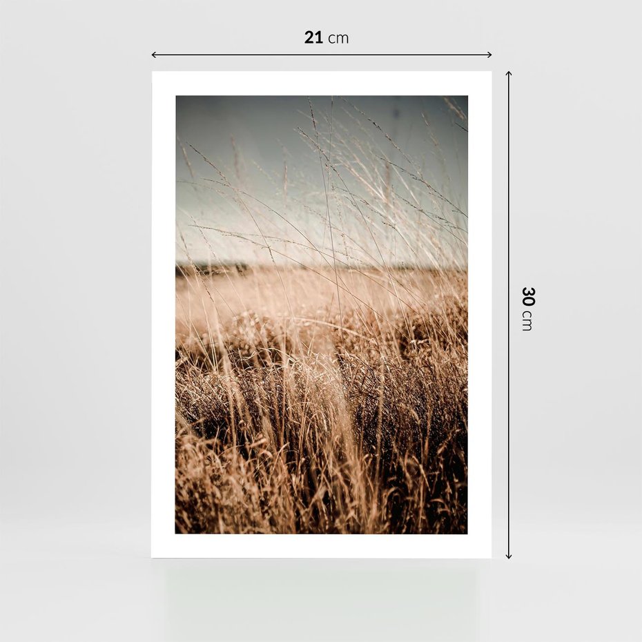 Plakat bez ramy 21x30 - Sucha Trawa w Odcieniach Sepii - suche trawy, łąka odcienie beżu